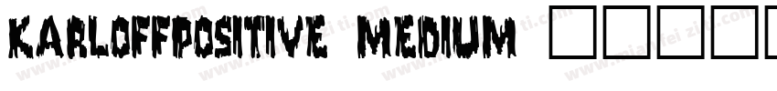 KarloffPositive Medium字体转换